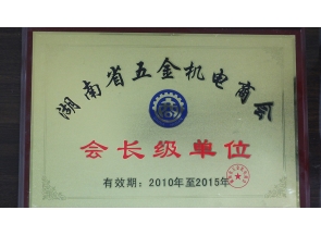 会长级单位荣誉证书